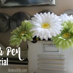 Flower Pens- Add a little happy to your space